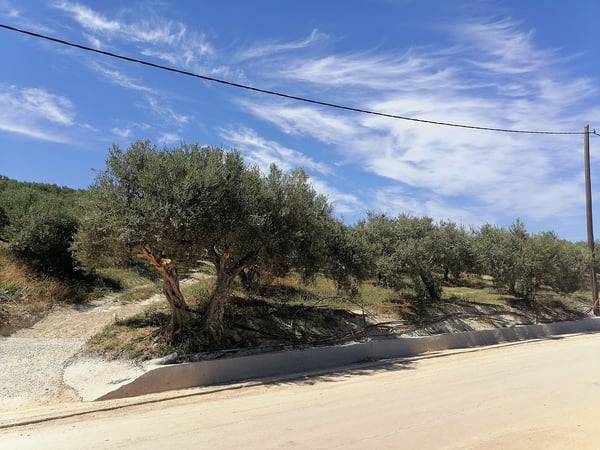 House in Kamisiana - view 1