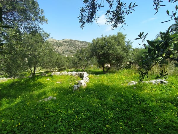 House in Drapanos - view 1