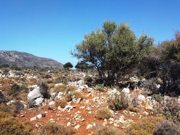 House in Kefalas - view 1