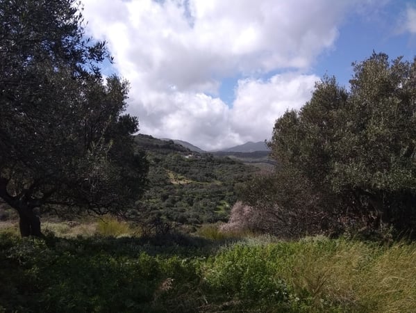 House in Malathyros - view 1