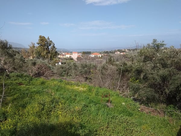 House in Vamos - view 1