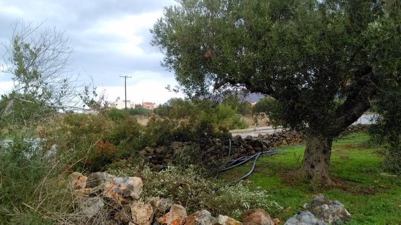 House in Chorafakia - view 1