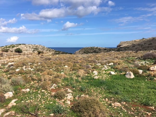 House in Kokkinon Khorion - view 1