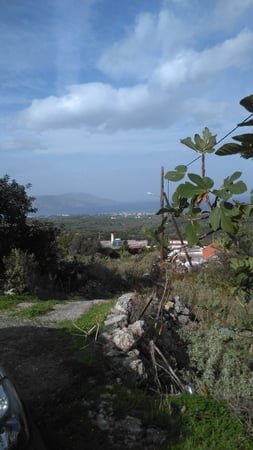 House in Kastellos - view 1