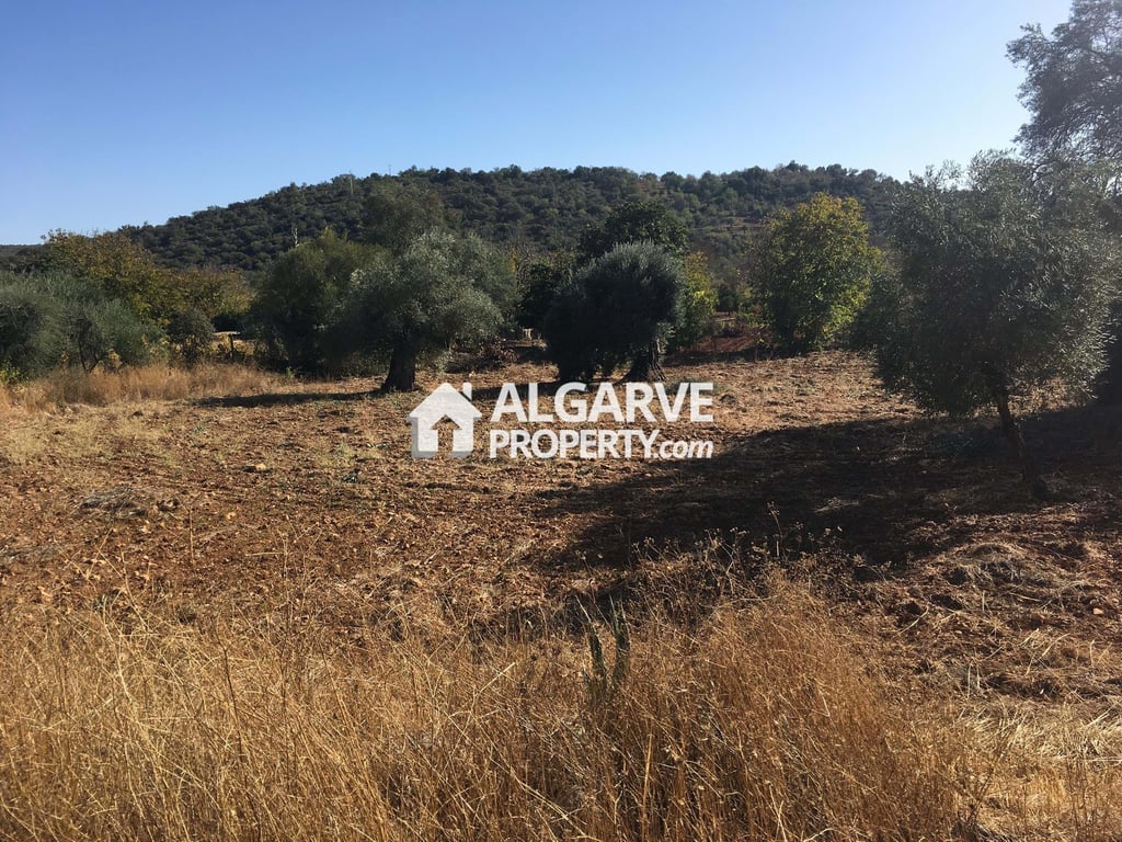 Land in Benafim - Image 3
