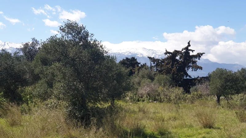 Land in Platanias - view 1