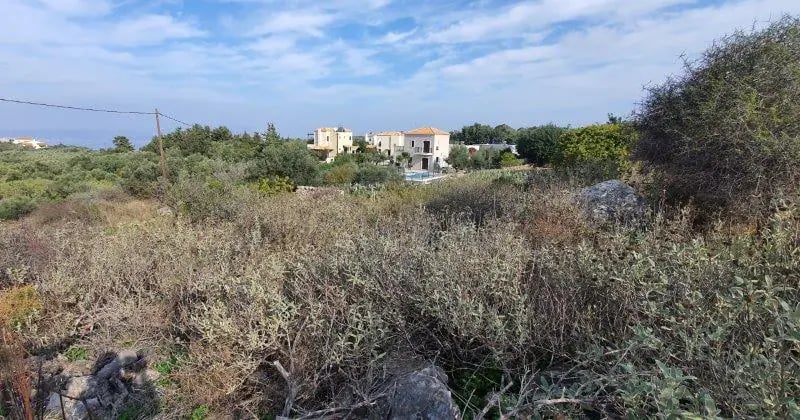 Land in Kambia - view 1