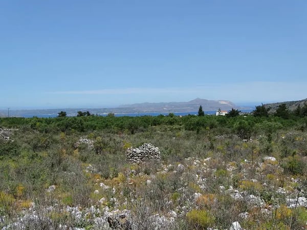 Land in Litsardha - view 1