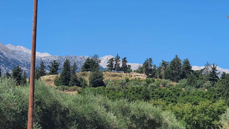 Land in Apokoronas - view 1