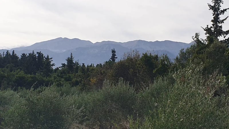 Land in Almirida - view 1