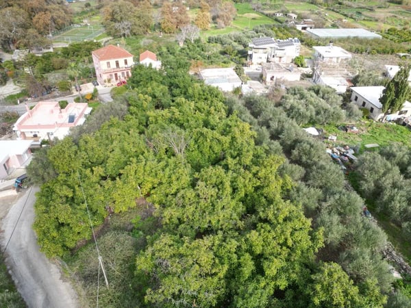 Land in Stylos - view 1