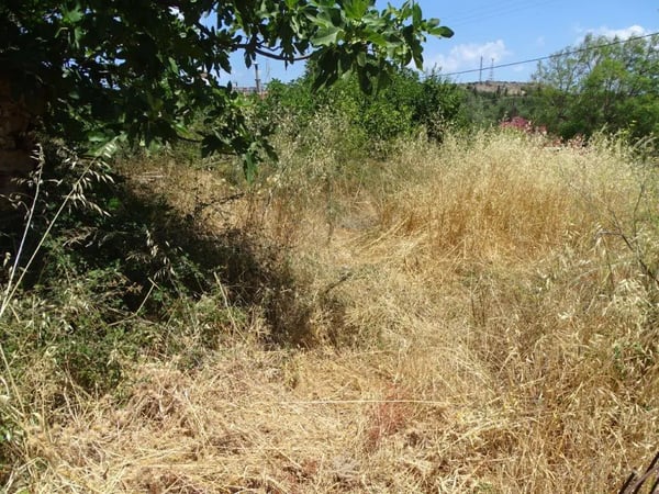 Land in Likotinarea - view 1