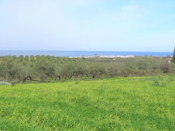 Land in Kournas - view 1