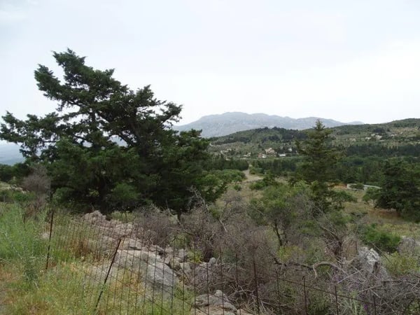 Land in Kefalas - view 1