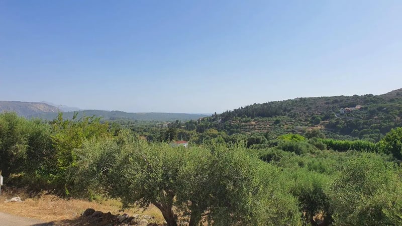 Land in Machairoi - view 1