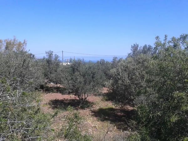 Land in Kokkinon Khorion - view 1