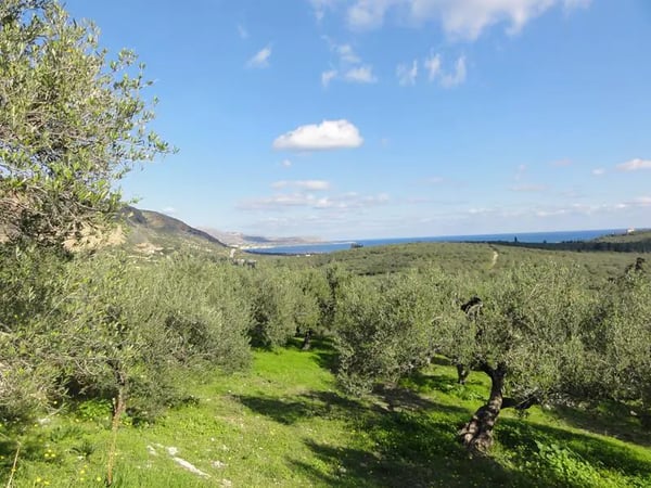 Land in Kalyves - view 1