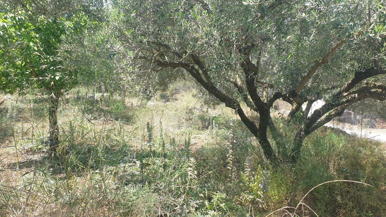 Land in Xirosternion - Image 3