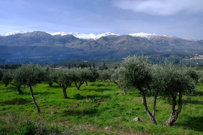 Land in Kaina - view 1