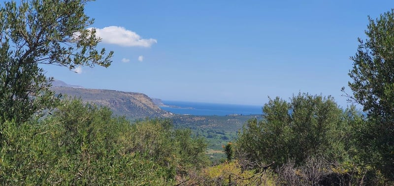 Land in Provarma - view 1