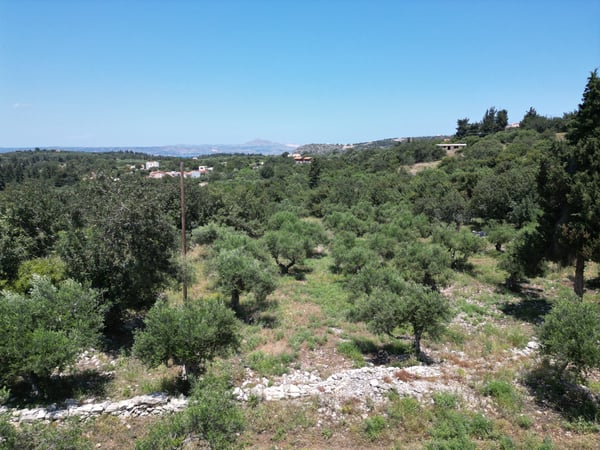 Land in Gavalochori - view 1