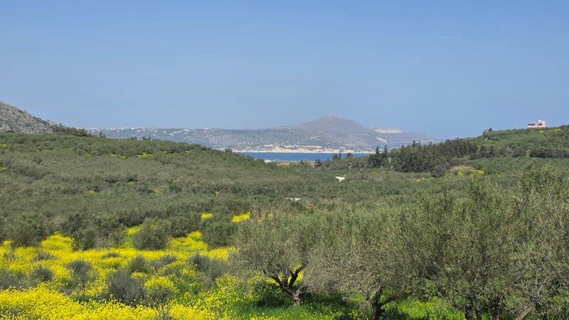 Land in Kalyves - view 1