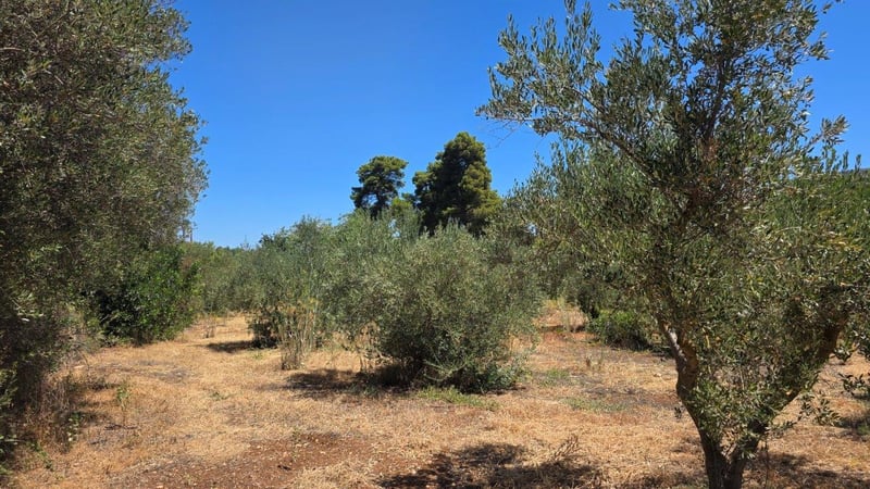 House in Gavalochori - view 1