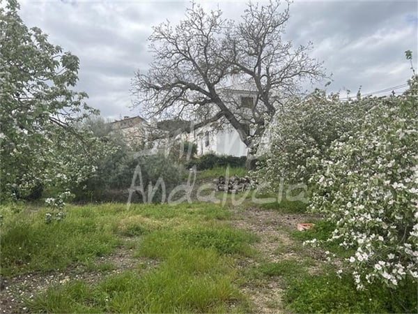 House in Cordoba - view 1