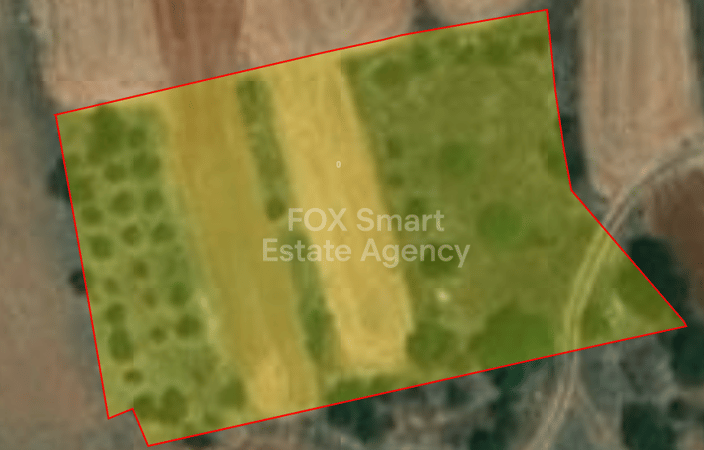 Land in Akaki - view 1