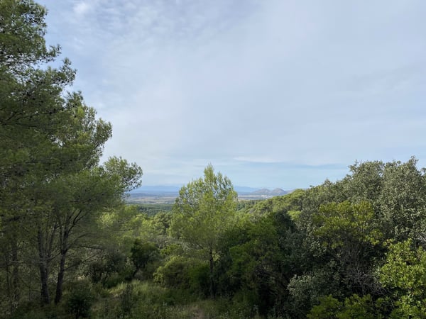 House in Begur - view 1