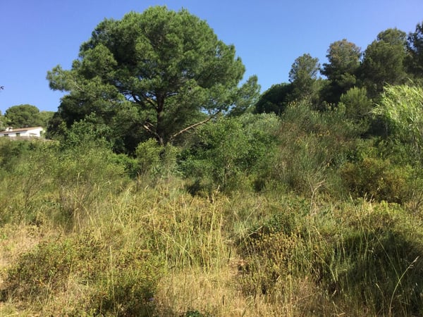 House in Calonge - view 1