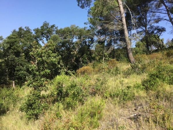 House in Calonge - view 1