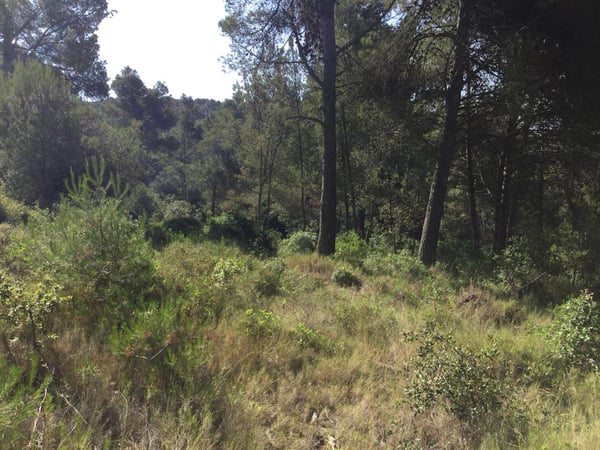 House in Calonge - view 1