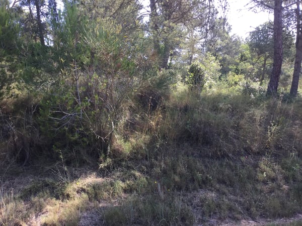 House in Calonge - view 1