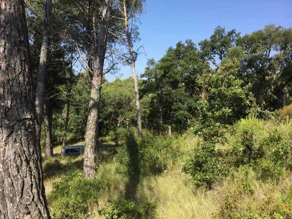 House in Calonge - view 1