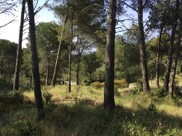 House in Calonge - view 1