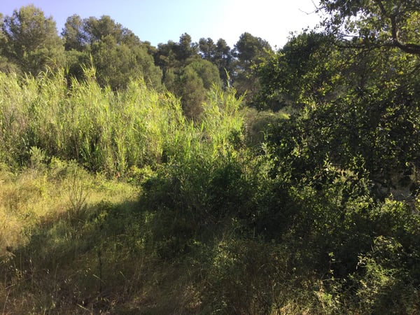 House in Calonge - view 1