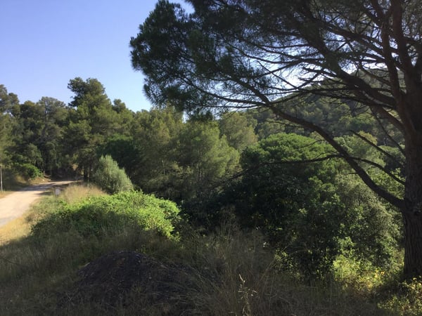 House in Calonge - view 1