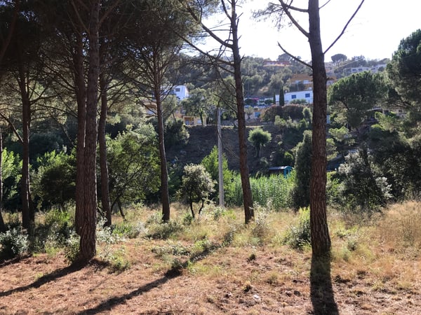 House in Calonge - view 1