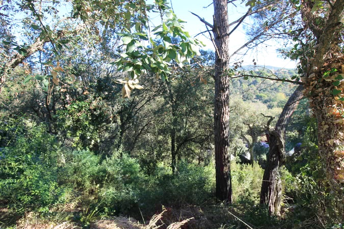 House in Calonge - view 1