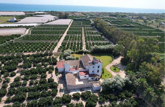 House in Mareny de San Lorenzo - view 1