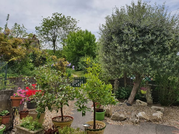 House in Loubes-Bernac - view 1
