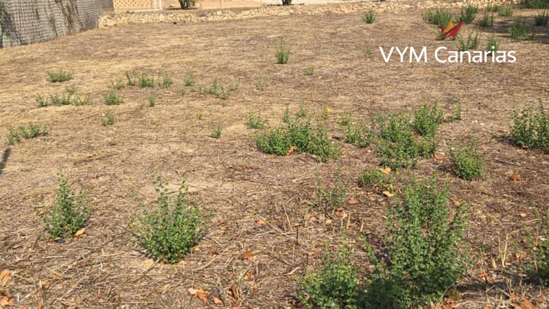 Land in l'Alfas del Pi - view 1