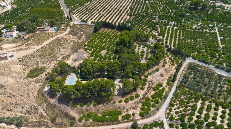 Villa in Burete - view 1