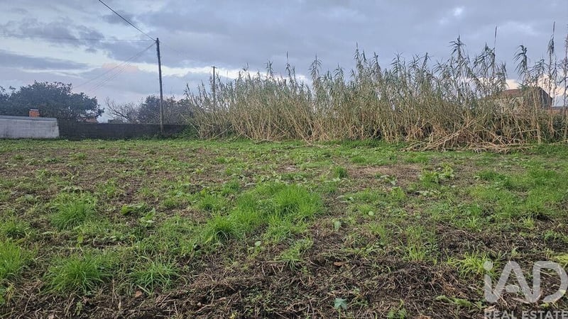 Land in Antas - view 1