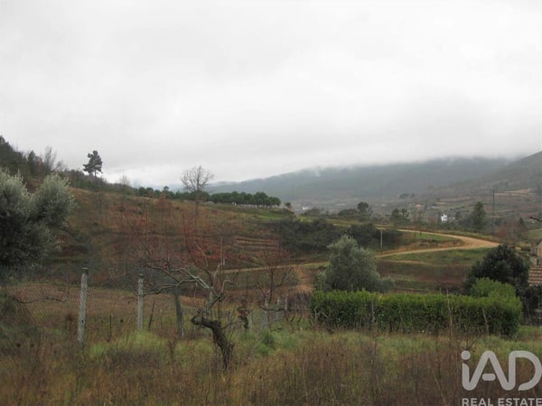 House in Famalicao - view 1