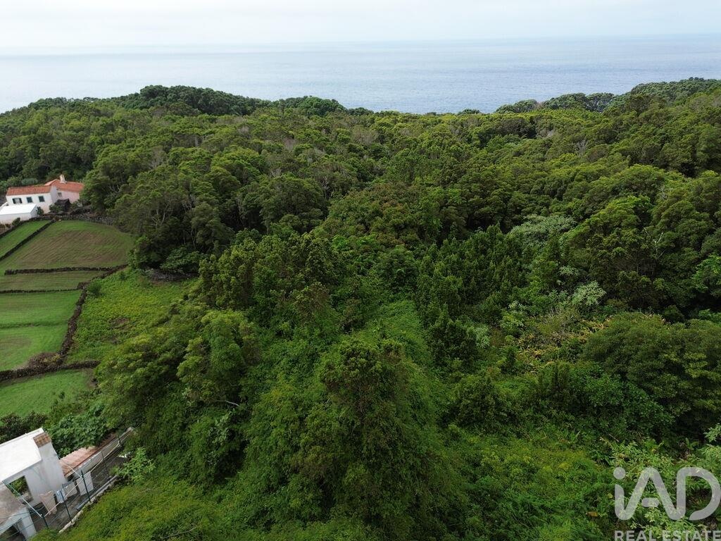 House in Lajes - Image 3