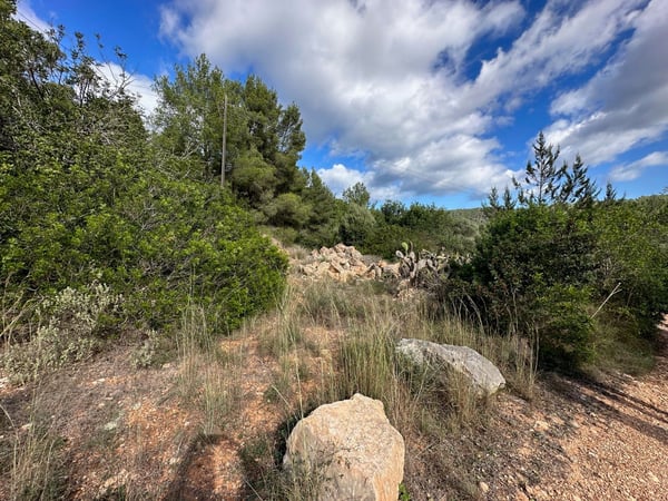 House in San Lorenzo de Balafia - view 1