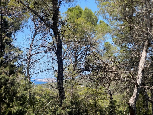 House in Cala Vadella - view 1
