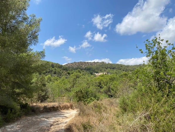 Villa in Santa Agnes de Corona - view 1
